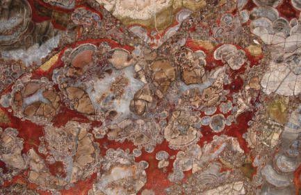 EARTH RHYOLITE