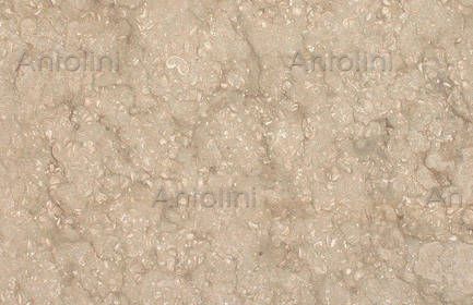 SEAGRASS LIMESTONE